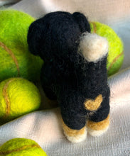 Load image into Gallery viewer, Meet Frenchie