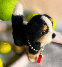 Load image into Gallery viewer, Meet Dafne